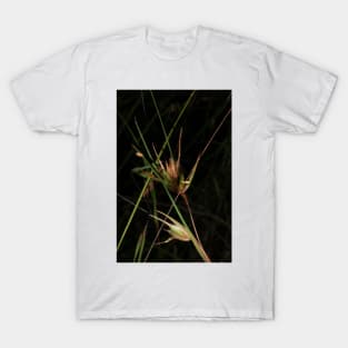 Grass Patterns T-Shirt